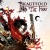 Skautfold: Into the Fray Box Art