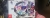 Touhou Luna Nights 5 year anniversary limited edition Box Art