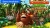 Donkey Kong Country Returns HD Box Art