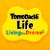 Tomodachi Life: Living the Dream Box Art