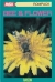 Bee & Flower Box Art