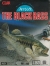 Black Bass, The Box Art