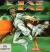 Jai Alai Box Art