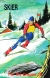 Skier Box Art